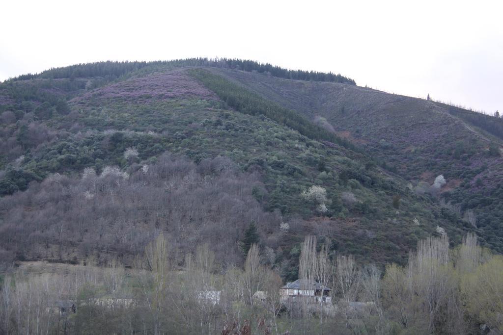 Venecia Bed&Breakfast Villafranca Del Bierzo Exteriör bild